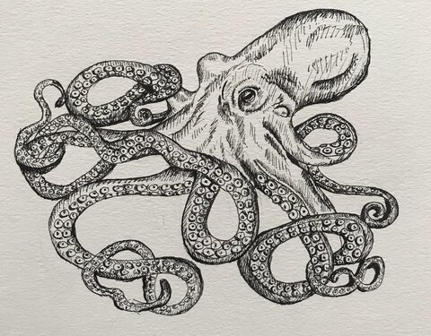 hung_nsfw header picture leakfans.com