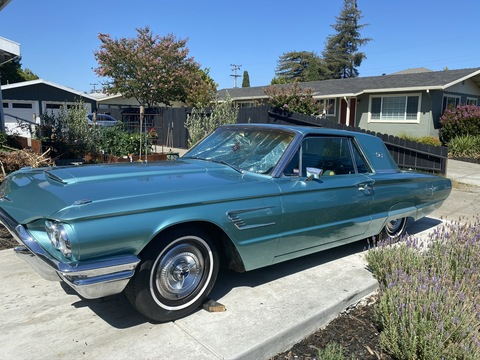 hunglora707 header picture leakfans.com