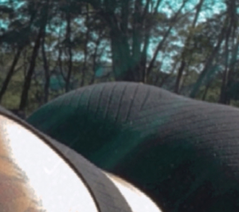 huniibee header picture leakfans.com