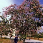 hunnys profile picture leakfans.com