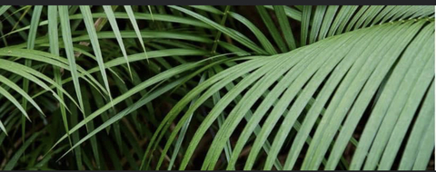 hurricanebella header picture leakfans.com