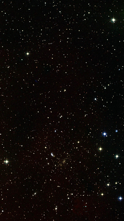 hyliankitten header picture leakfans.com