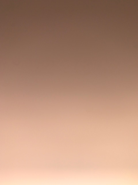 hypnoticass header picture leakfans.com