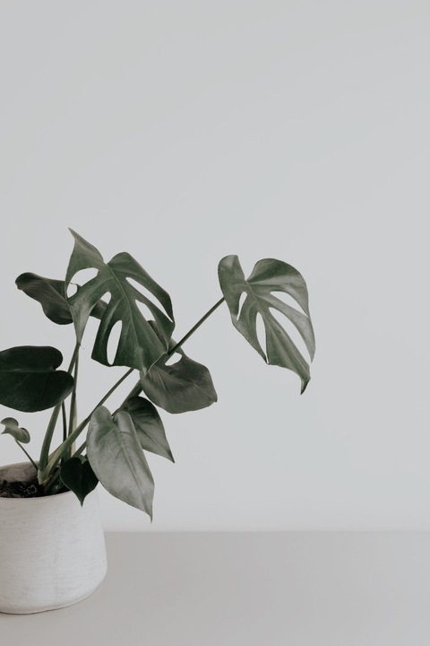 iamcathrin header picture leakfans.com