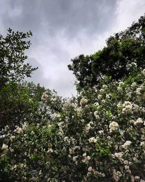 iannaa header picture leakfans.com