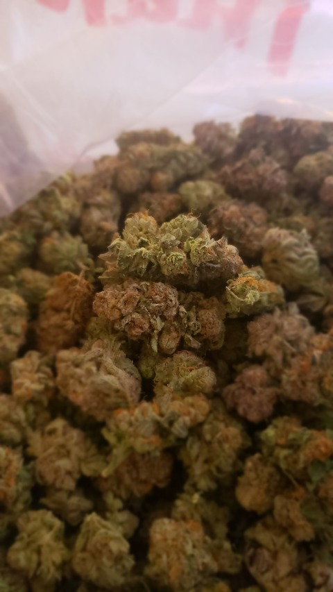 iblow header picture leakfans.com