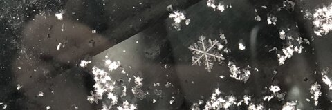 icyblonde3 header picture leakfans.com