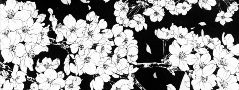 ijusthaveto header picture leakfans.com