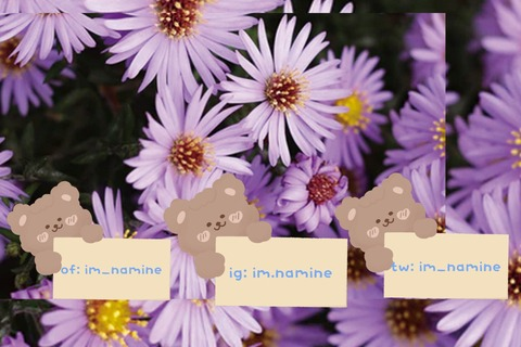 im_namine header picture leakfans.com