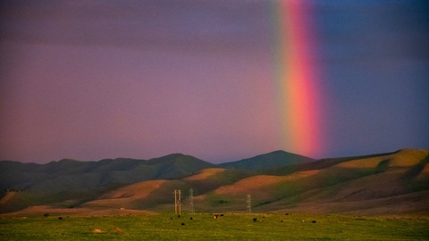 immaculatepurr header picture leakfans.com