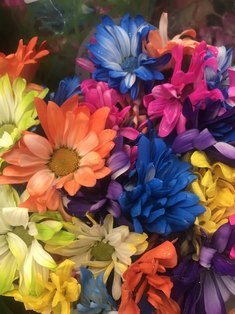 impactkitten96 header picture leakfans.com