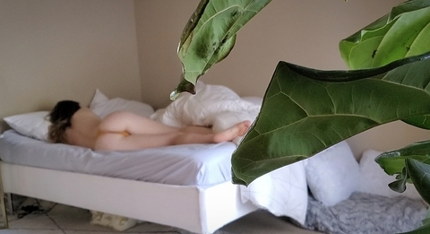 impracticalficus header picture leakfans.com