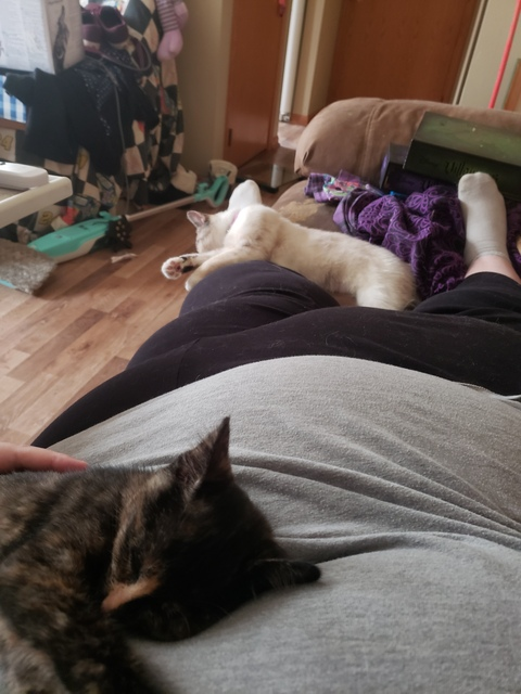 infinifatty81 header picture leakfans.com