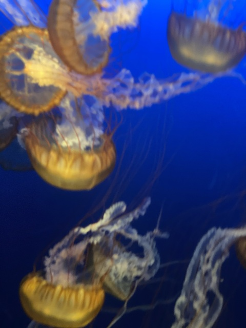 innocent header picture leakfans.com