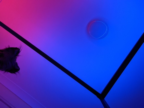 innocentpuppy header picture leakfans.com