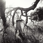 insanepennylane profile picture leakfans.com