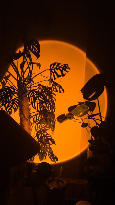 iris_free header picture leakfans.com