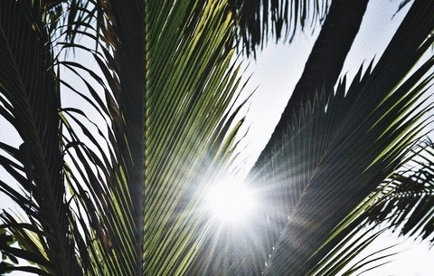 islandbarbiee header picture leakfans.com