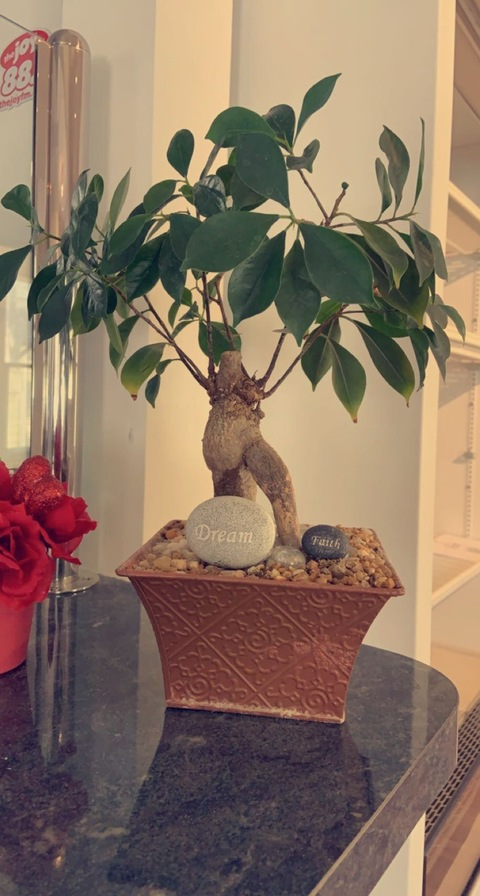 istillloveu header picture leakfans.com