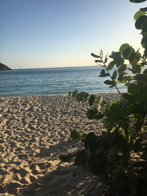 isyuhloyal header picture leakfans.com