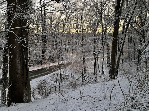 italianstallixn header picture leakfans.com