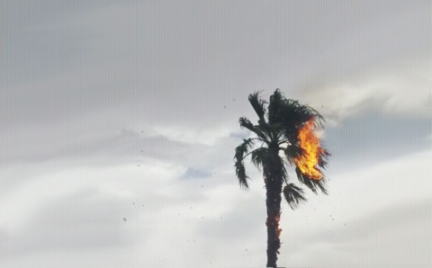 iteration667 header picture leakfans.com