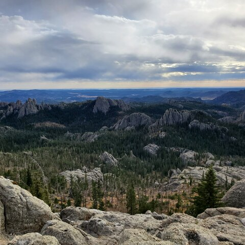 itsdaisyduchess header picture leakfans.com