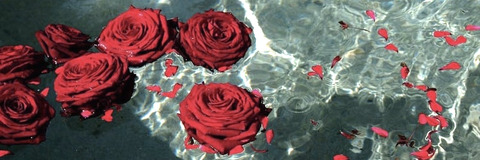 itsnot_rose header picture leakfans.com