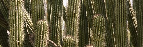 itstonievans header picture leakfans.com