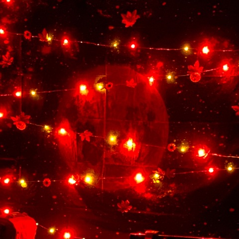 ivory.minx header picture leakfans.com