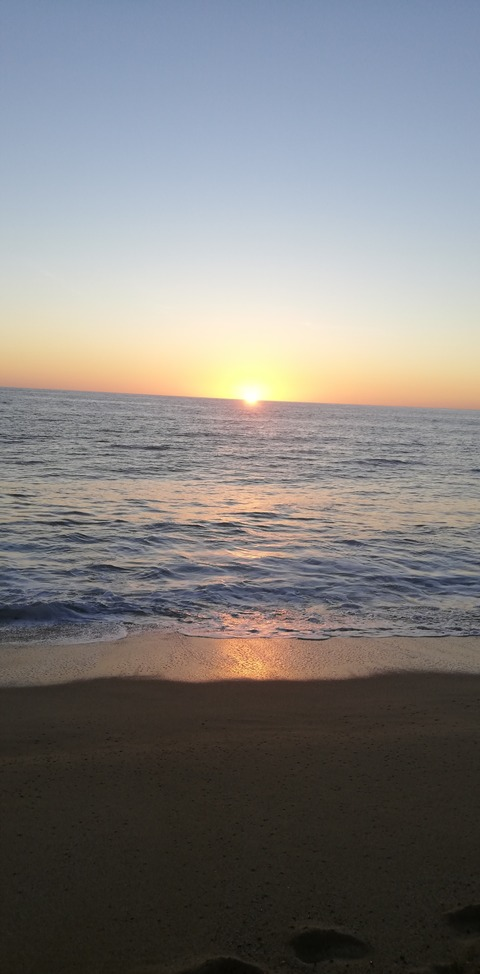 iyari header picture leakfans.com