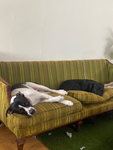 izzyisdying69 header picture leakfans.com