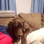 jacko271 profile picture leakfans.com