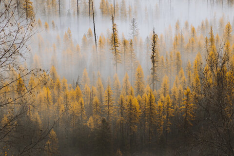 jacobfisherxxx header picture leakfans.com