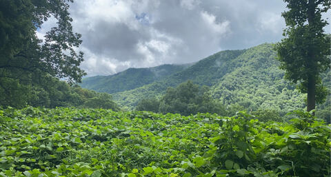 jade.kittyxx header picture leakfans.com