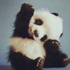 jadejantzen profile picture leakfans.com