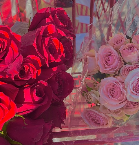 jadelove.xo header picture leakfans.com