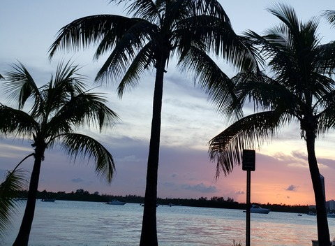 jaimeeloves header picture leakfans.com