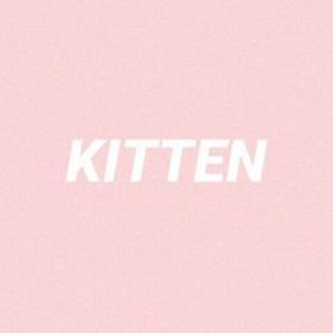 jamiefknlynn header picture leakfans.com