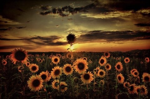 jane1190 header picture leakfans.com