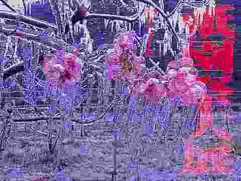 janelles_of header picture leakfans.com