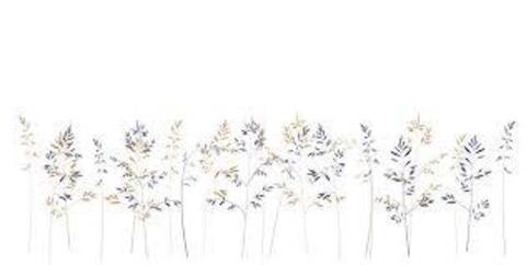 janenull header picture leakfans.com