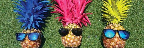 january header picture leakfans.com