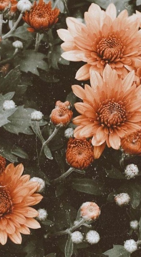 jaydenjuicefree header picture leakfans.com