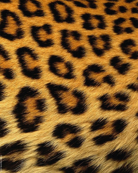 jaylahmfk header picture leakfans.com