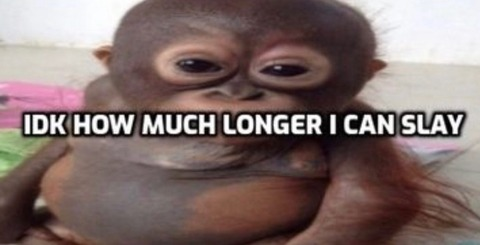 jayynearlo header picture leakfans.com