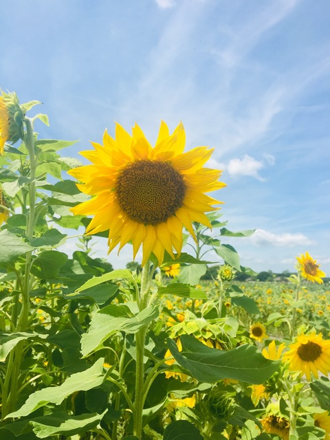 jbtwo header picture leakfans.com