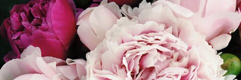 jennguyen header picture leakfans.com