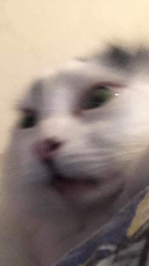 jennilee header picture leakfans.com