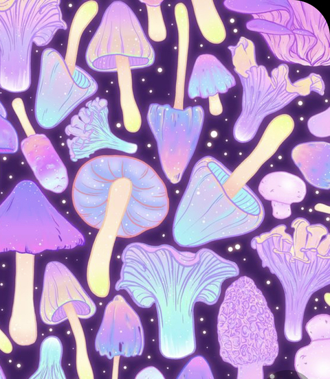 jennystarc69 header picture leakfans.com